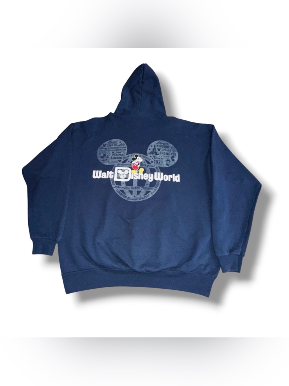 Men’s Hanes Walt Disney World Hoodie
